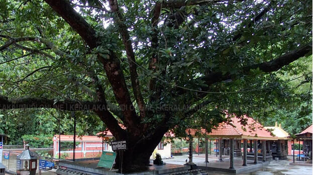 kavilippa kavilippa