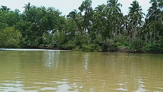 river river