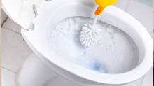 toilet-cleaner