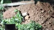 landslide-at-idukki
