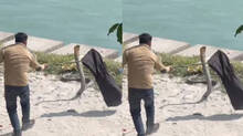 king-cobra-attacks-forest-rescue-officer-in-haridwar