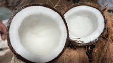 coconut-costs-2-lakh-rupees