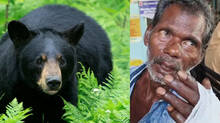 bear-attacks-in-kerala