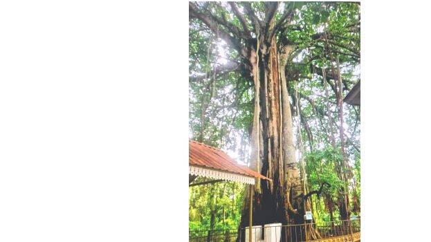 marangal