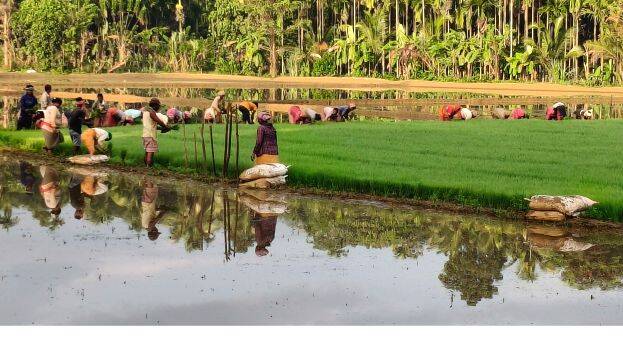 agri