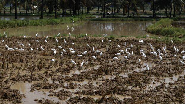 agri