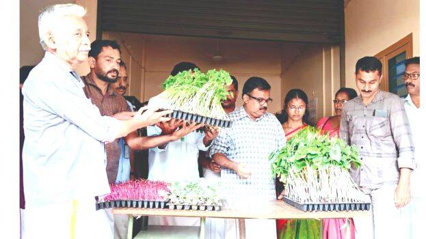 panchayath