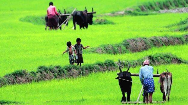 agri