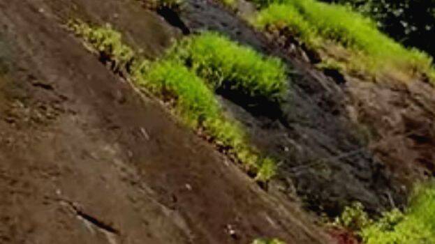 kokkathod-