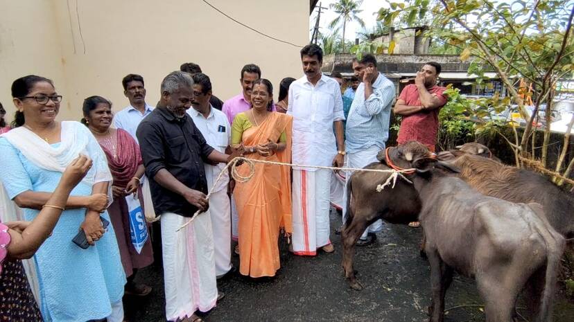 25-pothukutti
