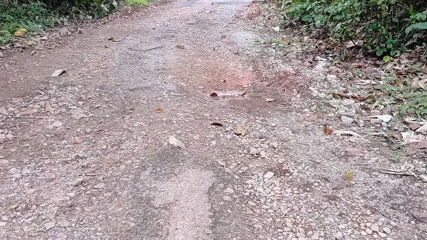kottekunnu