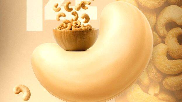 cashew