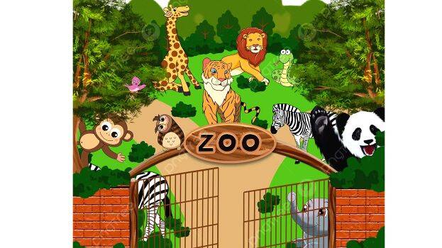 zoo