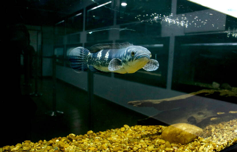 Kerala Kaumudi Photo Gallery