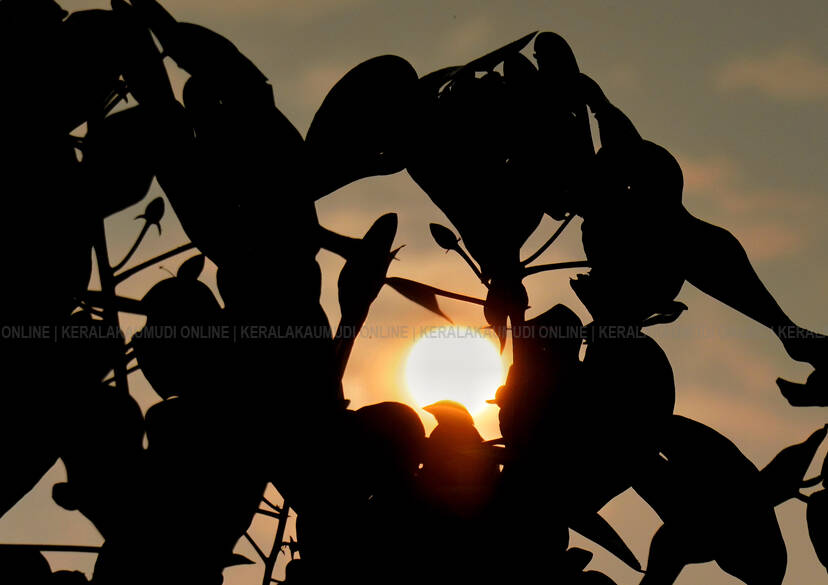 Kerala Kaumudi Photo Gallery