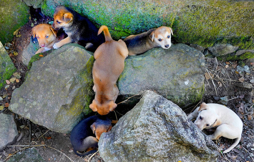 Kerala Kaumudi Photo Gallery