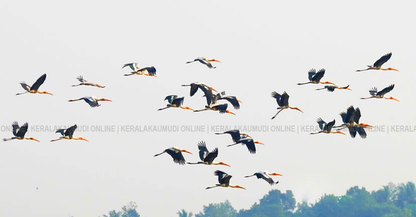 Kerala Kaumudi Photo Gallery