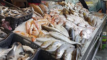 formalin-and-ammonia-are-used-to-prevent-fish-from-spoiling