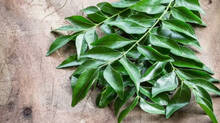 curry-leaves
