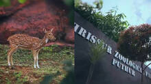 deer-killed-in-new-zoological-park-in-thrissur