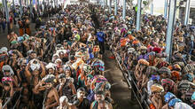 sabarimala-crowd-management-updates