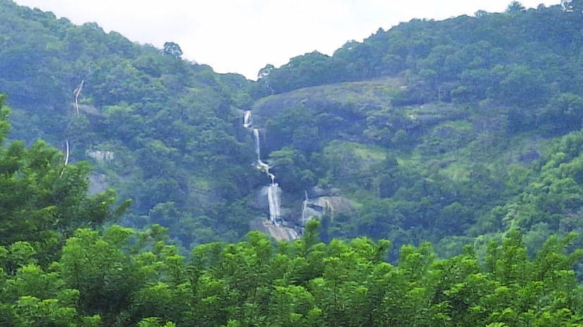 paalakuzhi paalakuzhi