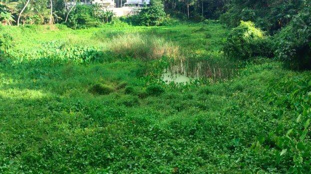 puliyankulam puliyankulam