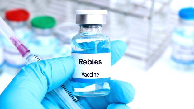 rabies