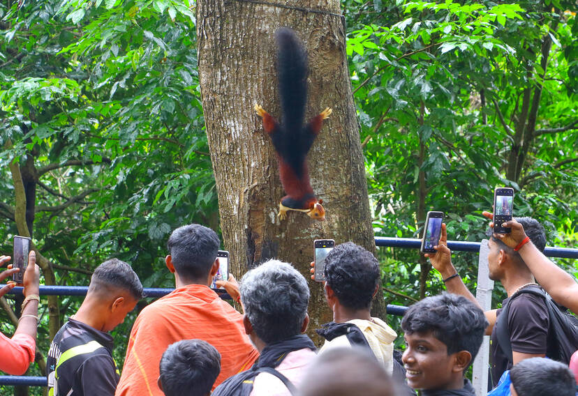 Kerala Kaumudi Photo Gallery