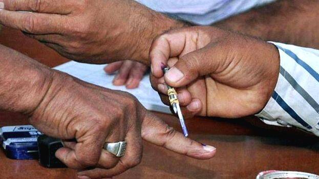 local-body-election-resul