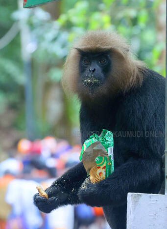 Kerala Kaumudi Photo Gallery