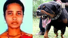 38-year-old-woman-died-after-being-mauled-by-two-rottweilers-in-davanagere
