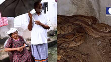 kaumudy-tv-snake-master-latest-episode