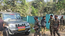 man-eating-tiger-not-found-in-kerala-border-amid-search