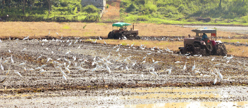 Kerala Kaumudi Photo Gallery