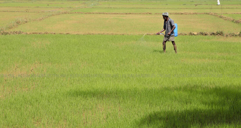 Kerala Kaumudi Photo Gallery