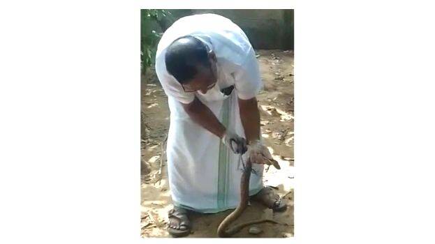 candidate-caught-by-snake