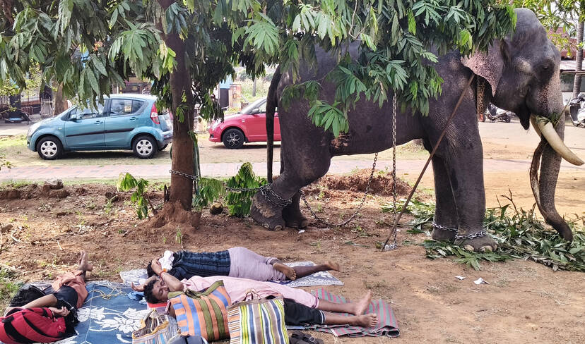 Kerala Kaumudi Photo Gallery