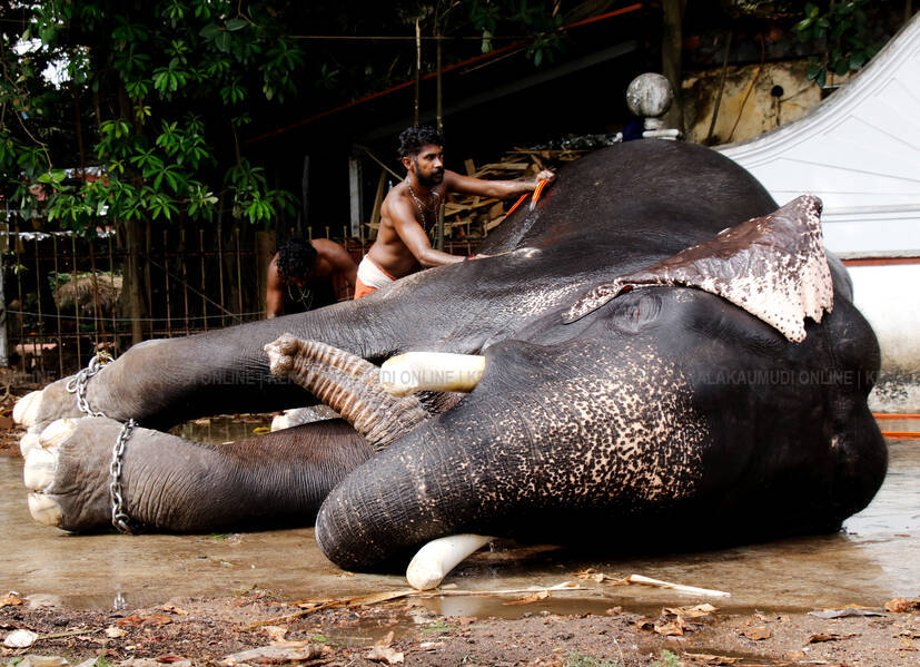 Kerala Kaumudi Photo Gallery