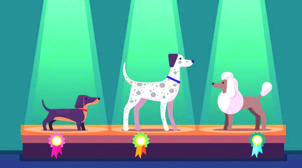 dog-show-