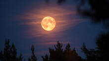 wolf-moon-will-light-up-the-sky