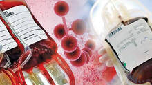 lab-stocked-animal-blood-instead-of-human-blood