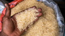 government-may-plan-to-sell-more-rice-in-nearest-future