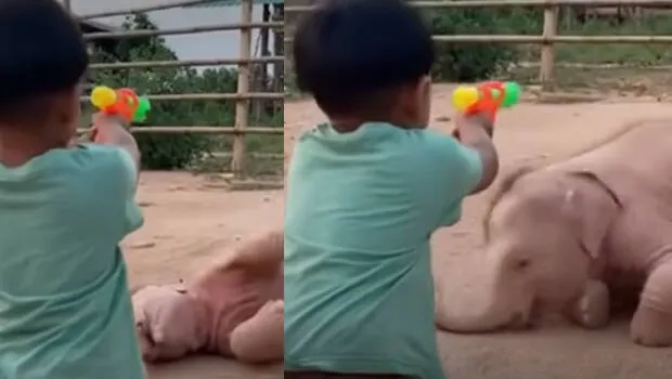 viral-video