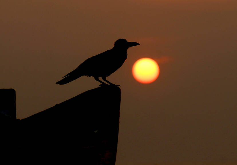 Kerala Kaumudi Photo Gallery