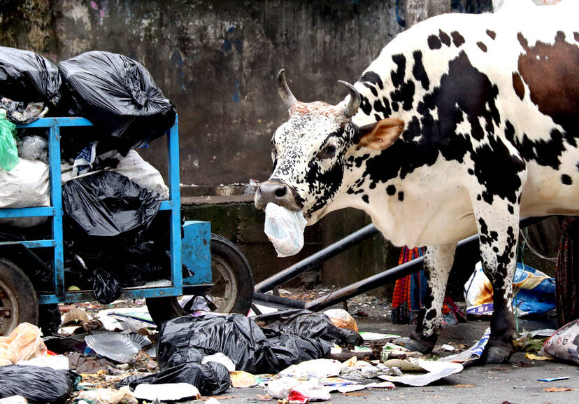 Kerala Kaumudi Photo Gallery