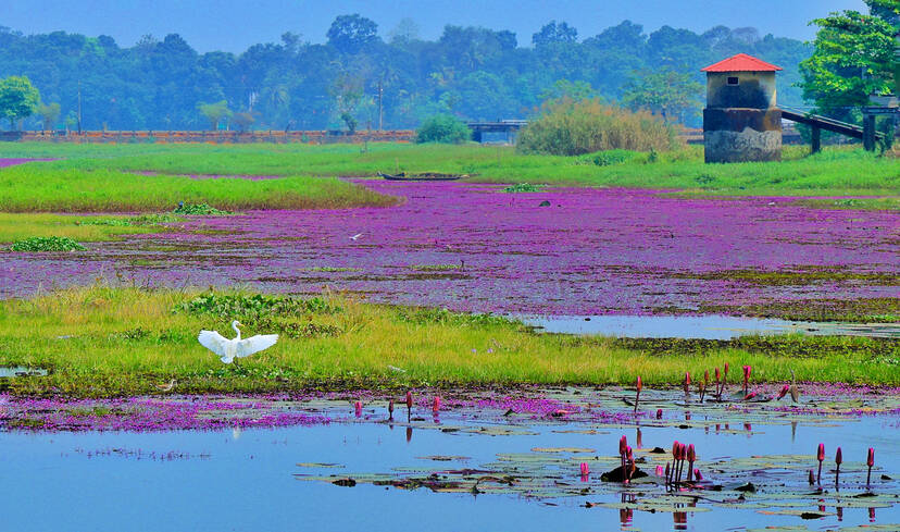 Kerala Kaumudi Photo Gallery