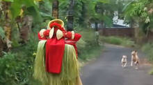 theyyam-and-stray-dog-encounter