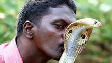 vava-suresh-explains-why-he-drunk-snake-venom-in-a-tv-show