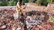 400-kilogram-rotten-fish-destroyed-in-this-market